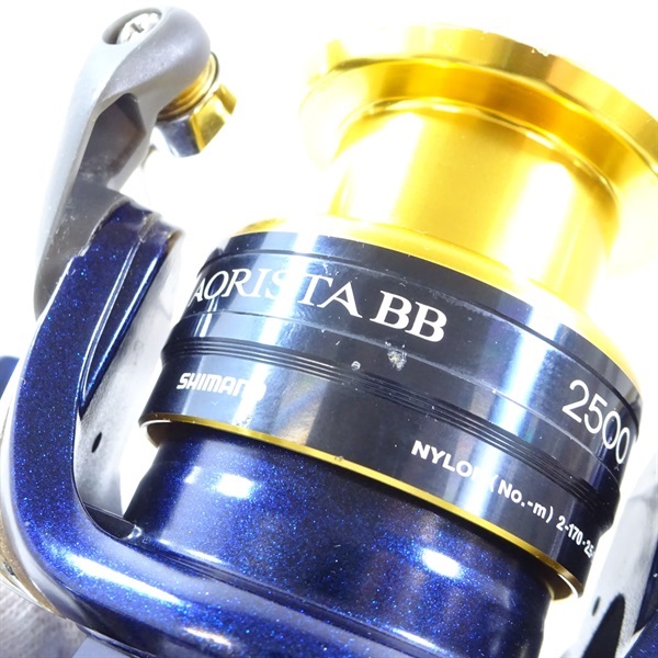 １３アオリスタＢＢ２５００